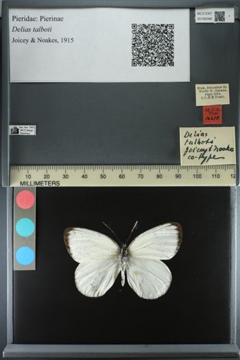Media type: image;   Entomology 192046